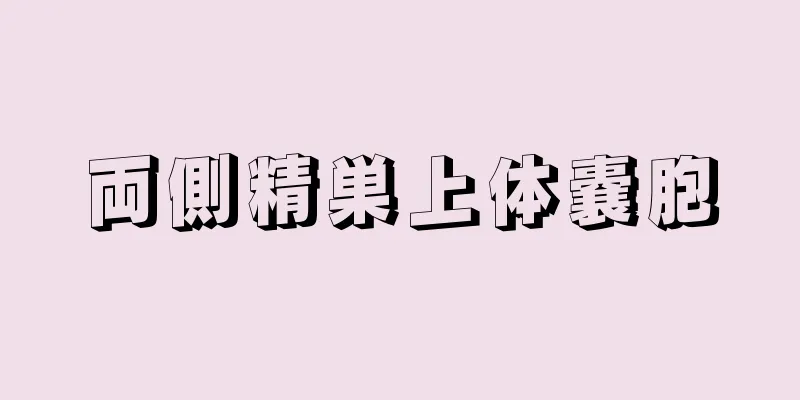 両側精巣上体嚢胞