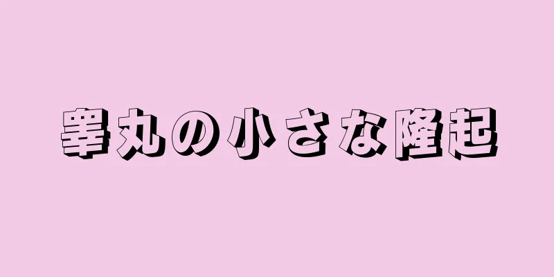 睾丸の小さな隆起
