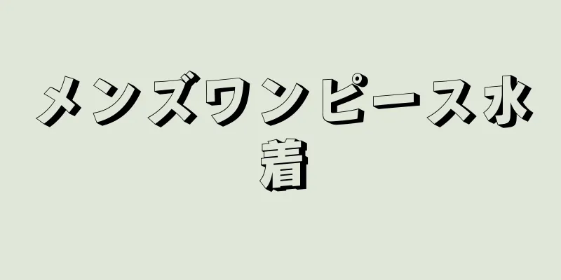 メンズワンピース水着