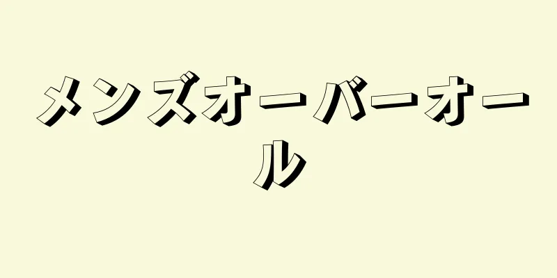 メンズオーバーオール