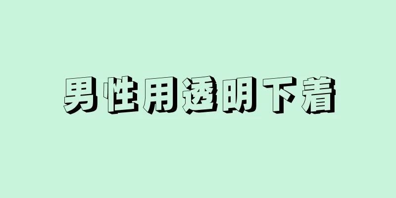 男性用透明下着