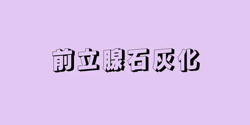 前立腺石灰化