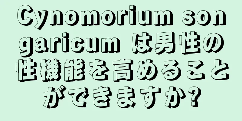 Cynomorium songaricum は男性の性機能を高めることができますか?