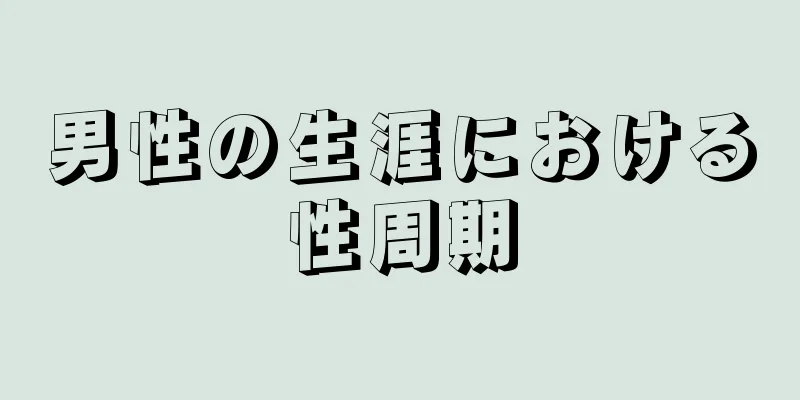 男性の生涯における性周期