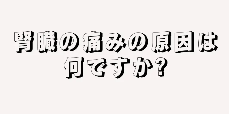 腎臓の痛みの原因は何ですか?
