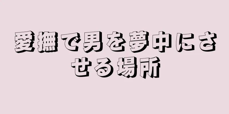 愛撫で男を夢中にさせる場所