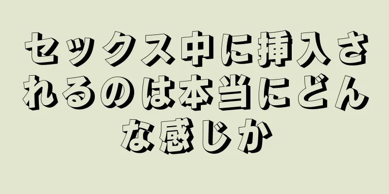 セックス中に挿入されるのは本当にどんな感じか