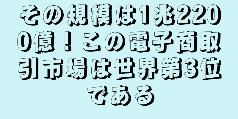 その規模は1兆2200億！この電子商取引市場は世界第3位である
