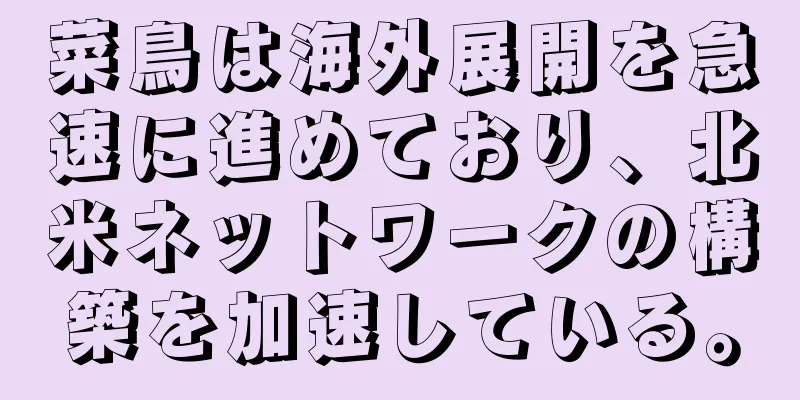 菜鳥は海外展開を急速に進めており、北米ネットワークの構築を加速している。