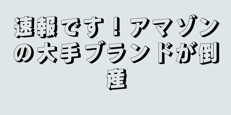 速報です！アマゾンの大手ブランドが倒産