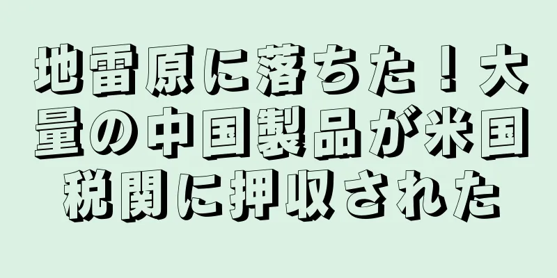 地雷原に落ちた！大量の中国製品が米国税関に押収された