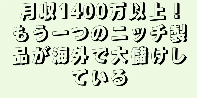 月収1400万以上！もう一つのニッチ製品が海外で大儲けしている