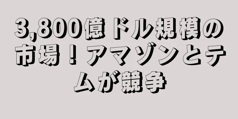 3,800億ドル規模の市場！アマゾンとテムが競争