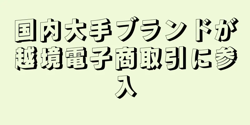 国内大手ブランドが越境電子商取引に参入