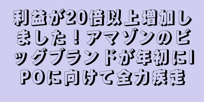 利益が20倍以上増加しました！アマゾンのビッグブランドが年初にIPOに向けて全力疾走