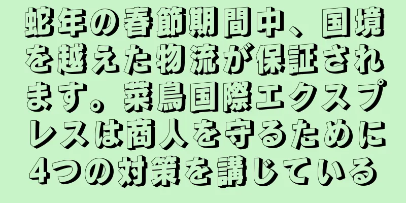 蛇年の春節期間中、国境を越えた物流が保証されます。菜鳥国際エクスプレスは商人を守るために4つの対策を講じている