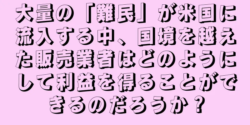 大量の「難民」が米国に流入する中、国境を越えた販売業者はどのようにして利益を得ることができるのだろうか？