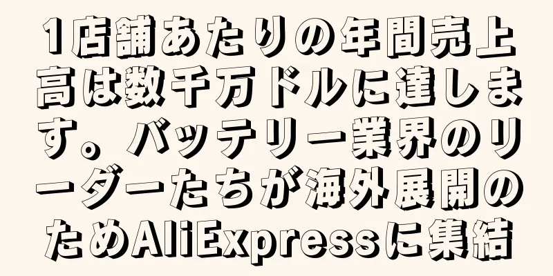 1店舗あたりの年間売上高は数千万ドルに達します。バッテリー業界のリーダーたちが海外展開のためAliExpressに集結