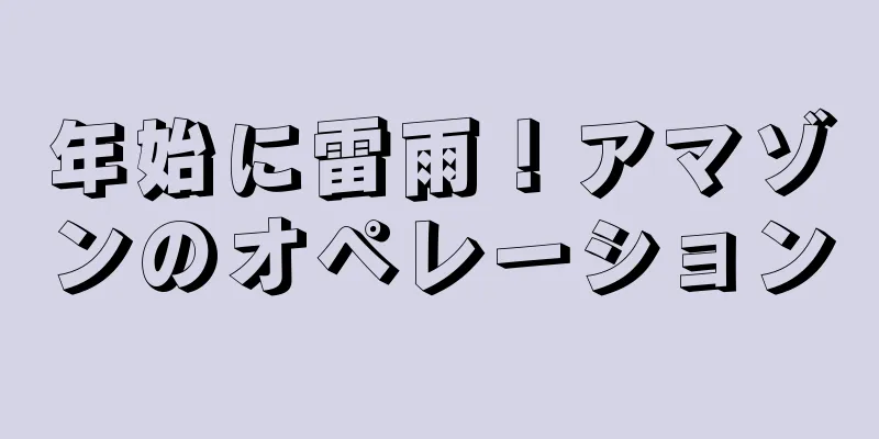 年始に雷雨！アマゾンのオペレーション
