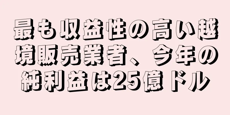 最も収益性の高い越境販売業者、今年の純利益は25億ドル
