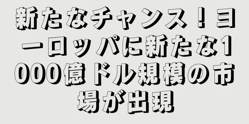 新たなチャンス！ヨーロッパに新たな1000億ドル規模の市場が出現