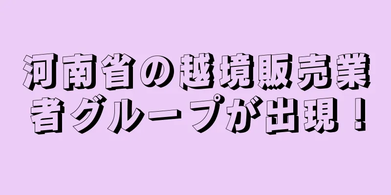 河南省の越境販売業者グループが出現！