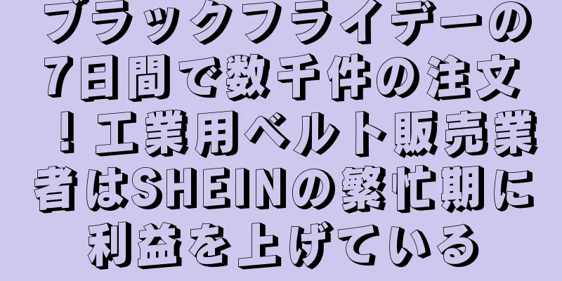ブラックフライデーの7日間で数千件の注文！工業用ベルト販売業者はSHEINの繁忙期に利益を上げている