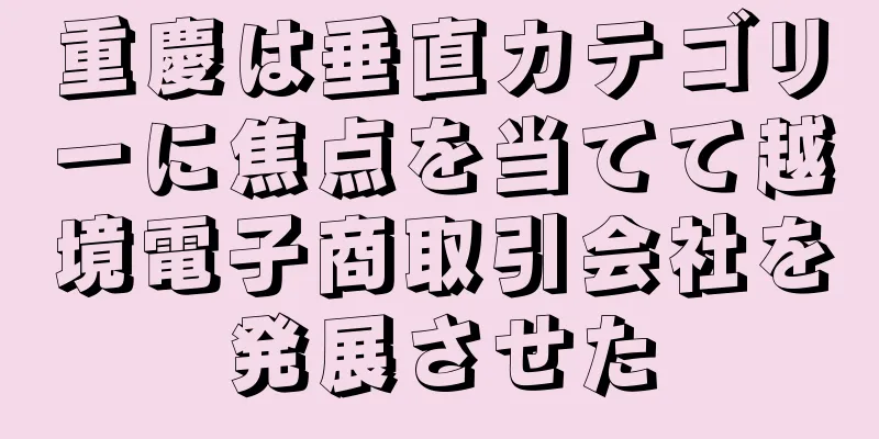 重慶は垂直カテゴリーに焦点を当てて越境電子商取引会社を発展させた