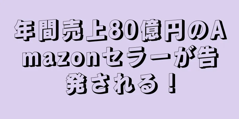 年間売上80億円のAmazonセラーが告発される！