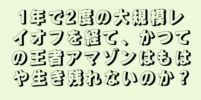1年で2度の大規模レイオフを経て、かつての王者アマゾンはもはや生き残れないのか？