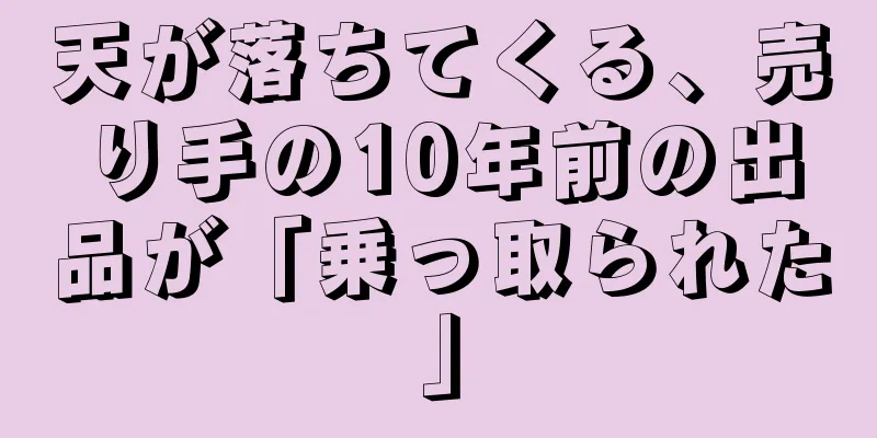 天が落ちてくる、売り手の10年前の出品が「乗っ取られた」