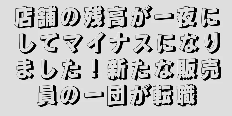 店舗の残高が一夜にしてマイナスになりました！新たな販売員の一団が転職