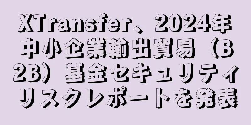 XTransfer、2024年中小企業輸出貿易（B2B）基金セキュリティリスクレポートを発表