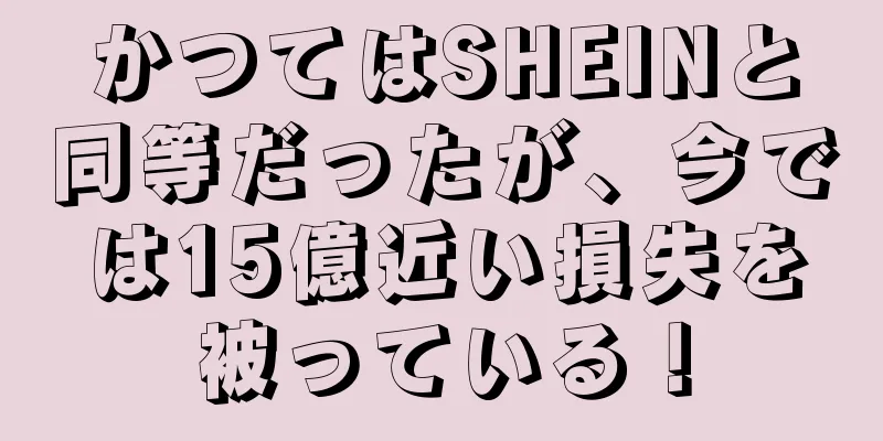 かつてはSHEINと同等だったが、今では15億近い損失を被っている！
