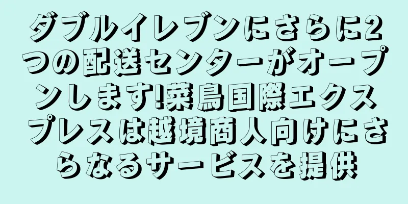ダブルイレブンにさらに2つの配送センターがオープンします!菜鳥国際エクスプレスは越境商人向けにさらなるサービスを提供