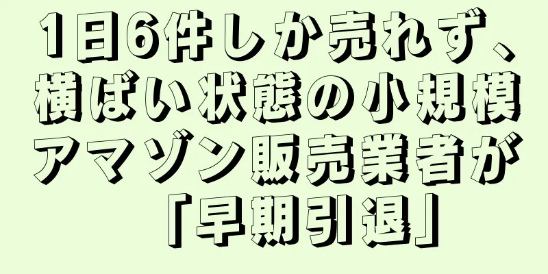 1日6件しか売れず、横ばい状態の小規模アマゾン販売業者が「早期引退」