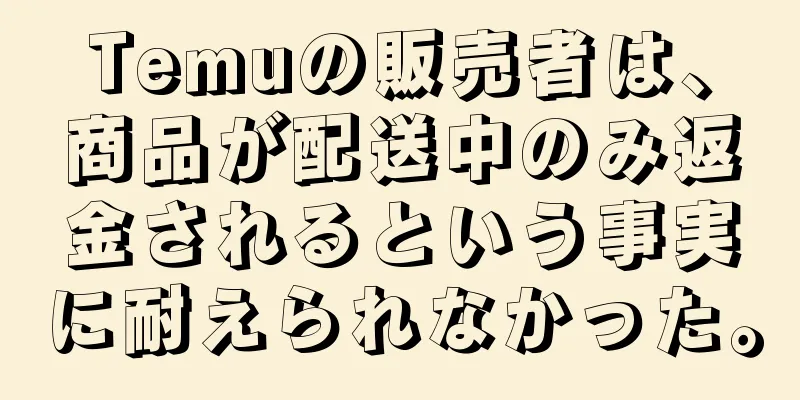 Temuの販売者は、商品が配送中のみ返金されるという事実に耐えられなかった。