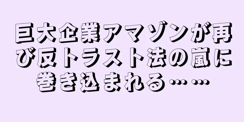 巨大企業アマゾンが再び反トラスト法の嵐に巻き込まれる……