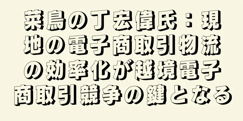 菜鳥の丁宏偉氏：現地の電子商取引物流の効率化が越境電子商取引競争の鍵となる