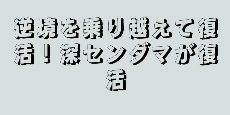 逆境を乗り越えて復活！深センダマが復活