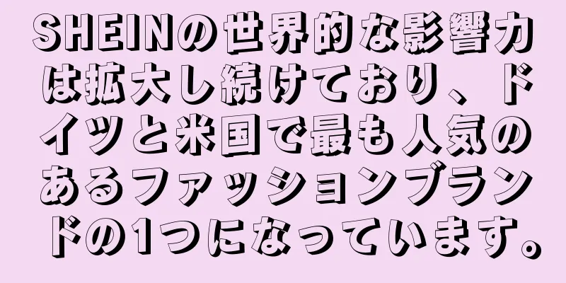 SHEINの世界的な影響力は拡大し続けており、ドイツと米国で最も人気のあるファッションブランドの1つになっています。