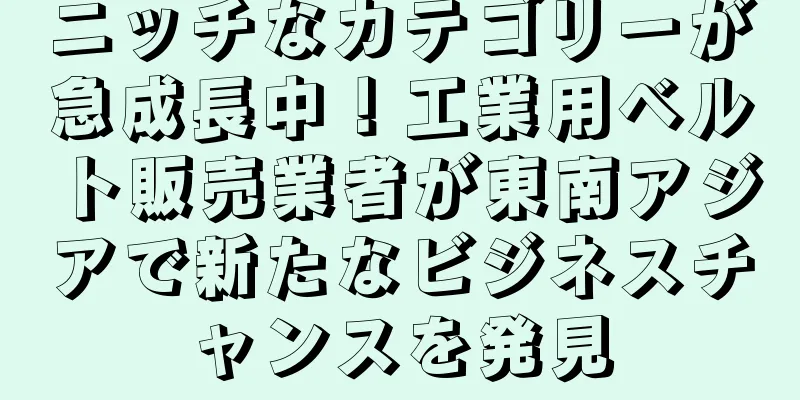 ニッチなカテゴリーが急成長中！工業用ベルト販売業者が東南アジアで新たなビジネスチャンスを発見
