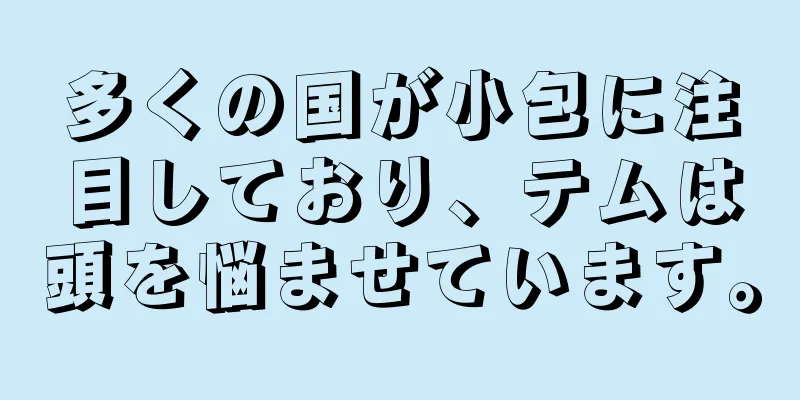 多くの国が小包に注目しており、テムは頭を悩ませています。