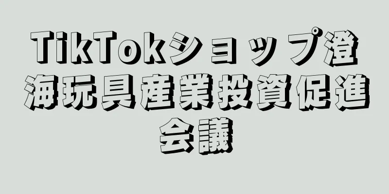 TikTokショップ澄海玩具産業投資促進会議