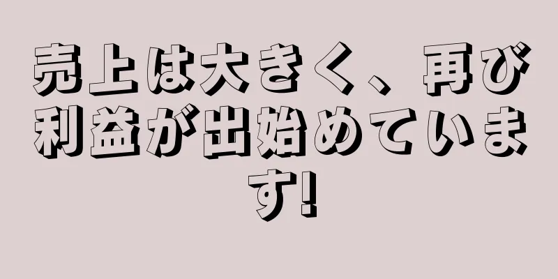 売上は大きく、再び利益が出始めています!