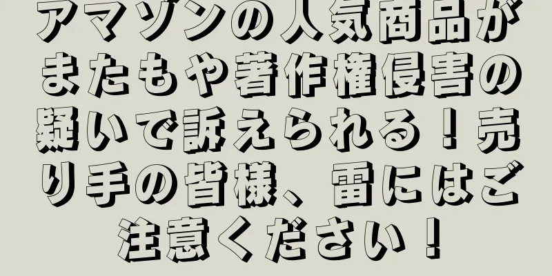 アマゾンの人気商品がまたもや著作権侵害の疑いで訴えられる！売り手の皆様、雷にはご注意ください！