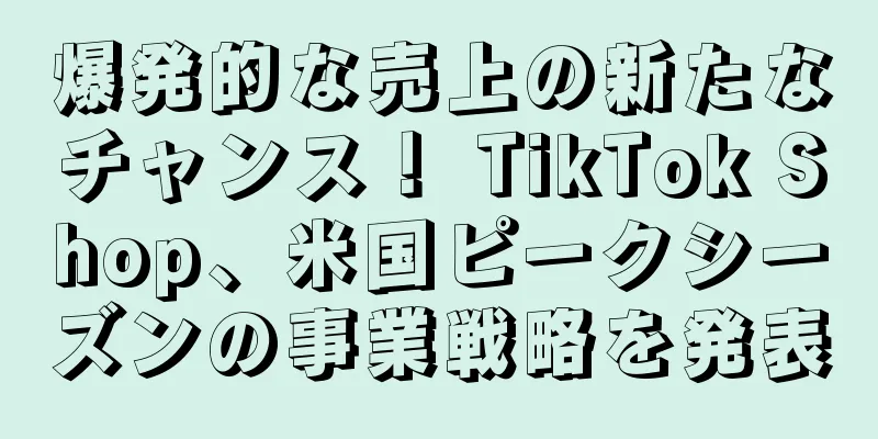 爆発的な売上の新たなチャンス！ TikTok Shop、米国ピークシーズンの事業戦略を発表