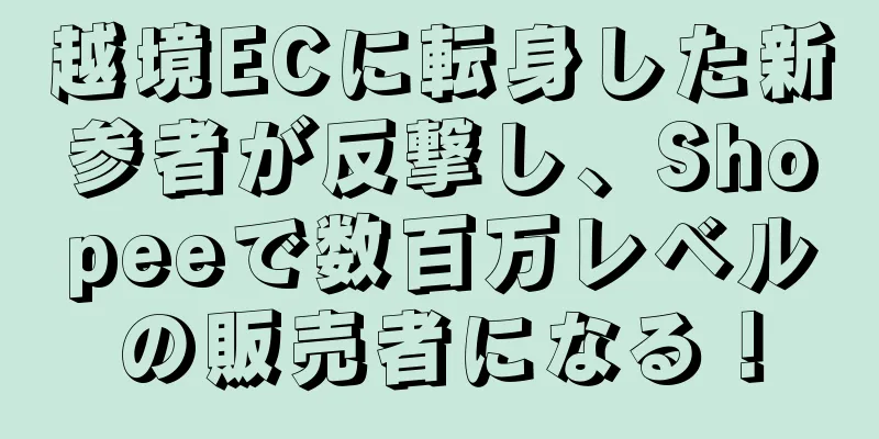 越境ECに転身した新参者が反撃し、Shopeeで数百万レベルの販売者になる！