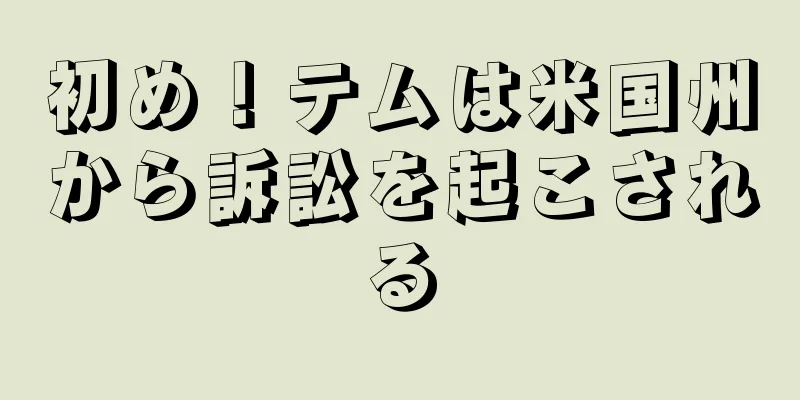 初め！テムは米国州から訴訟を起こされる