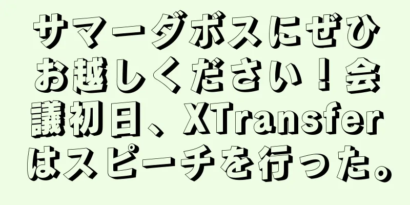 サマーダボスにぜひお越しください！会議初日、XTransferはスピーチを行った。